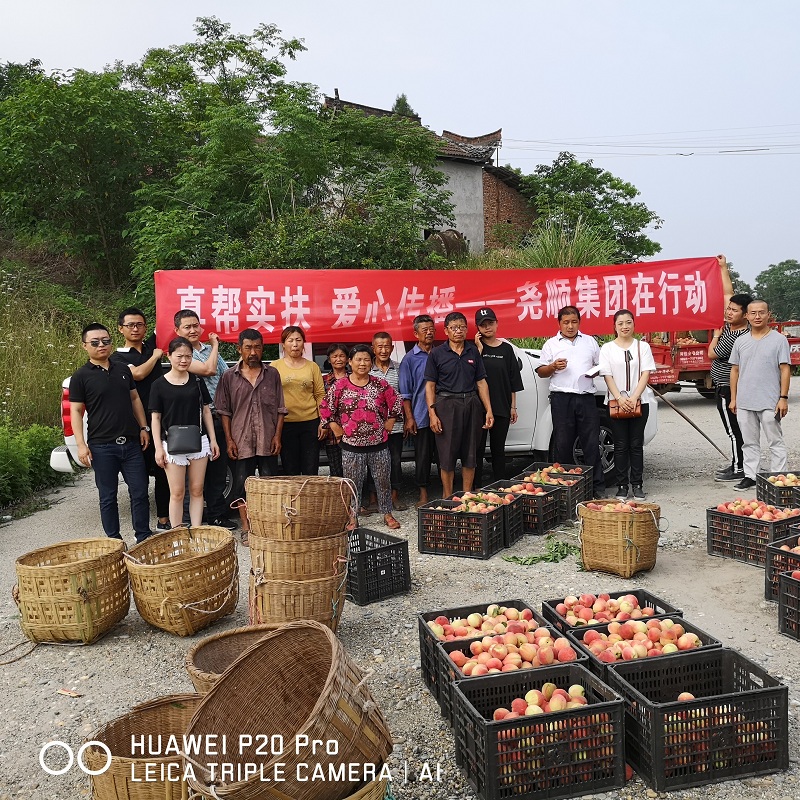 真帮实扶  爱心传播 -- 中国尊龙官方集团在行动